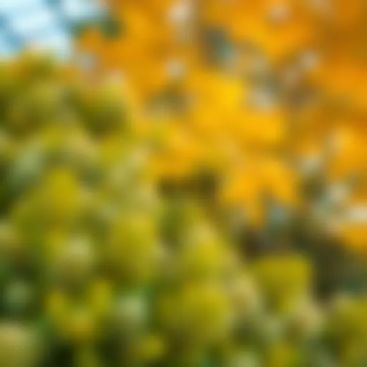 Diagram illustrating the five key elements of ERS interconnected in a circular layout