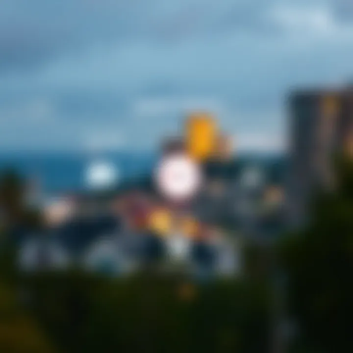 Diagram illustrating different types of RoboForex accounts with their key features and benefits